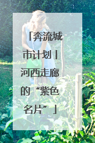 奔流城市计划丨河西走廊的“紫色名片”