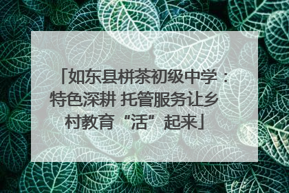 如东县栟茶初级中学：特色深耕 托管服务让乡村教育“活”起来