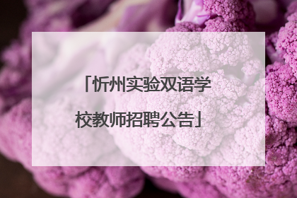 忻州实验双语学校教师招聘公告