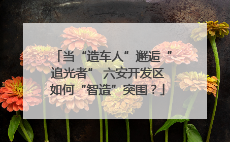 当“造车人”邂逅“追光者” 六安开发区如何“智造”突围？