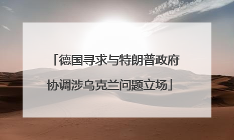 德国寻求与特朗普政府协调涉乌克兰问题立场
