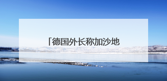 德国外长称加沙地带局势“令人难以忍受”！反对美国接管加沙地带的想法