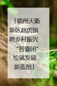 德州天衢新区赵虎镇聘乡村振兴“智囊团” 绘就发展新蓝图
