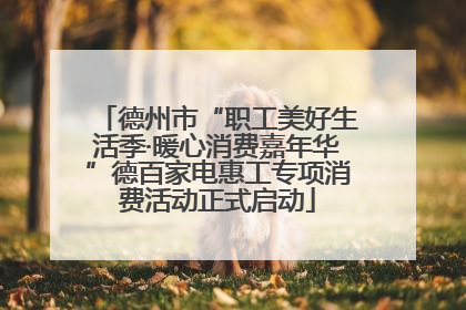 德州市“职工美好生活季·暖心消费嘉年华”德百家电惠工专项消费活动正式启动