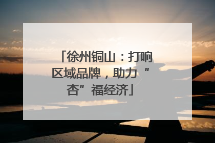 徐州铜山：打响区域品牌，助力“杏”福经济