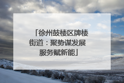 徐州鼓楼区牌楼街道：聚势谋发展 服务赋新能