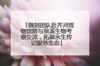 微刻团队赴齐河博物馆群与泉溪生物考察交流，拓展永生传记服务生态