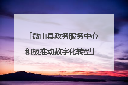 微山县政务服务中心积极推动数字化转型