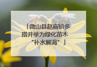 微山县赵庙镇多措并举为绿化苗木“补水解渴”