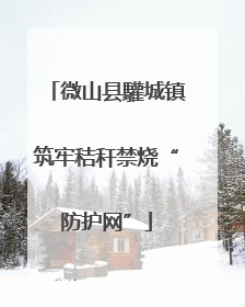 微山县驩城镇筑牢秸秆禁烧“防护网”