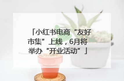 小红书电商“友好市集”上线，6月将举办“开业活动”
