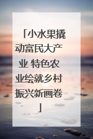 小水果撬动富民大产业 特色农业绘就乡村振兴新画卷