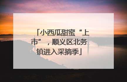 小西瓜甜蜜“上市”，顺义区北务镇进入采摘季