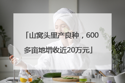 山窝头里产良种，600多亩地增收近20万元