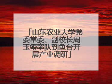 山东农业大学党委常委、副校长周玉玺率队到鱼台开展产业调研