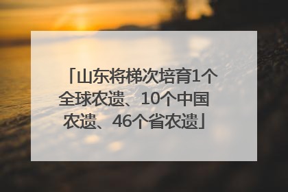 山东将梯次培育1个全球农遗、10个中国农遗、46个省农遗