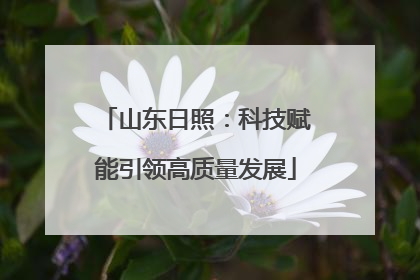 山东日照：科技赋能引领高质量发展