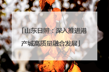 山东日照：深入推进港产城高质量融合发展