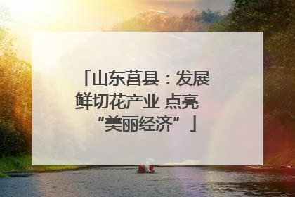 山东莒县：发展鲜切花产业 点亮“美丽经济”