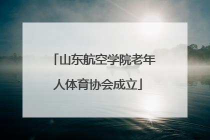 山东航空学院老年人体育协会成立