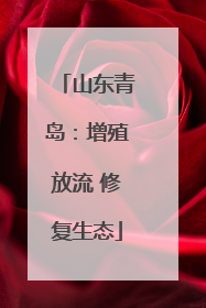 山东青岛：增殖放流 修复生态