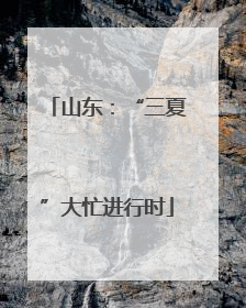山东：“三夏”大忙进行时
