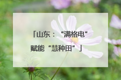 山东：“满格电”赋能“慧种田”