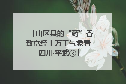山区县的“药”香致富经丨万千气象看四川·平武③