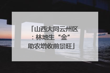 山西大同云州区：林地生“金” 助农增收前景旺