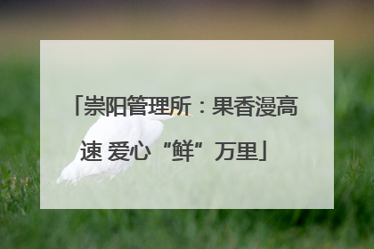 崇阳管理所：果香漫高速 爱心“鲜”万里