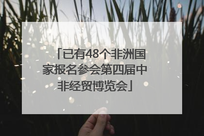 已有48个非洲国家报名参会第四届中非经贸博览会
