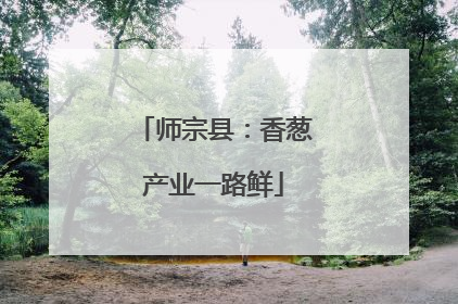 师宗县：香葱产业一路鲜