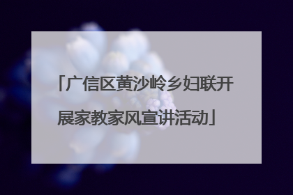 广信区黄沙岭乡妇联开展家教家风宣讲活动