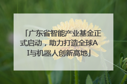 广东省智能产业基金正式启动，助力打造全球AI与机器人创新高地