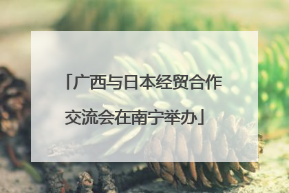 广西与日本经贸合作交流会在南宁举办