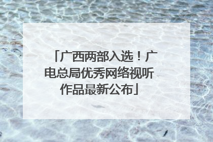 广西两部入选！广电总局优秀网络视听作品最新公布