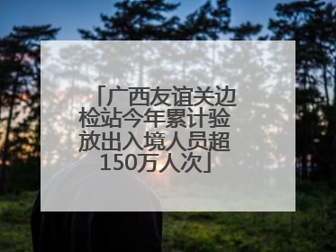 广西友谊关边检站今年累计验放出入境人员超150万人次