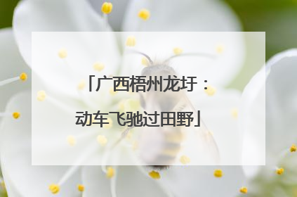 广西梧州龙圩：动车飞驰过田野