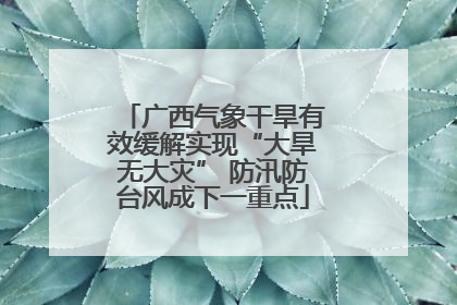 广西气象干旱有效缓解实现“大旱无大灾” 防汛防台风成下一重点