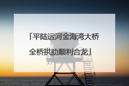 平陆运河金海湾大桥全桥拱肋顺利合龙