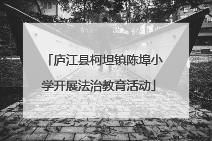 庐江县柯坦镇陈埠小学开展法治教育活动