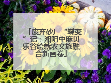 废弃砂厂“蝶变”记：湘阴中麻贝乐谷绘就农文旅融合新画卷