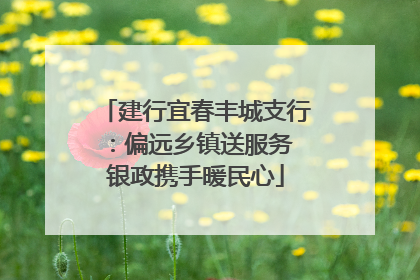 建行宜春丰城支行：偏远乡镇送服务 银政携手暖民心