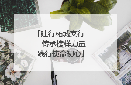 建行柘城支行——传承榜样力量 践行使命初心