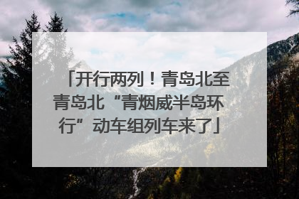 开行两列！青岛北至青岛北“青烟威半岛环行”动车组列车来了