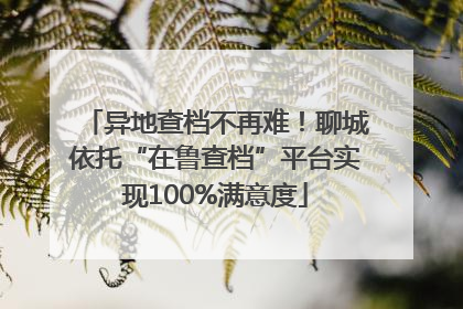 异地查档不再难！聊城依托“在鲁查档”平台实现100%满意度