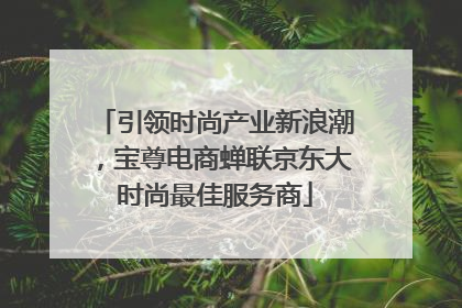 引领时尚产业新浪潮，宝尊电商蝉联京东大时尚最佳服务商