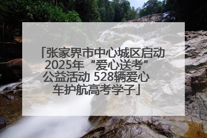 张家界市中心城区启动2025年“爱心送考”公益活动 528辆爱心车护航高考学子