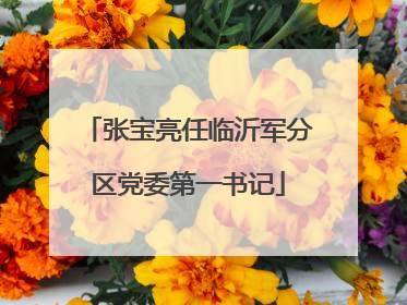 张宝亮任临沂军分区党委第一书记