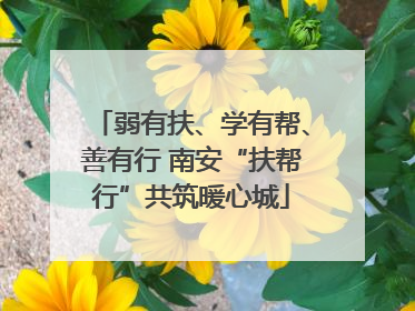 弱有扶、学有帮、善有行 南安“扶帮行”共筑暖心城